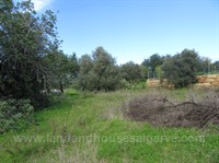 South-facing plot with possibility to build 1 large or 2 small villas near Moncarapacho South-facing plot with possibility to build 1 large or 2 small villas near Moncarapacho